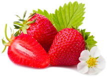 Obst und Gemüse im Einkaufsmarkt Fritzsche in Lengefeld